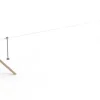 Core robinia taubane