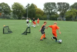 Exit Pico fotballmål sett