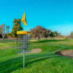 Innova Discatcher Pro 28