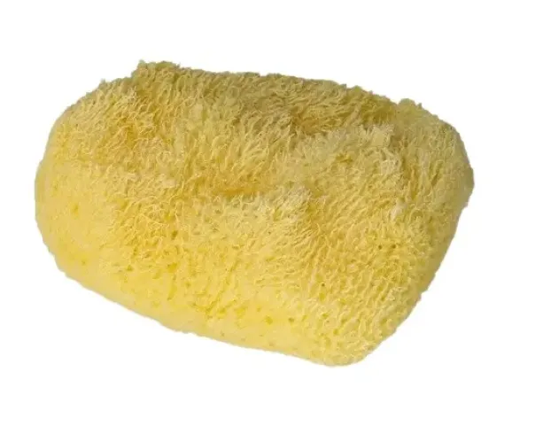 Natursvamp