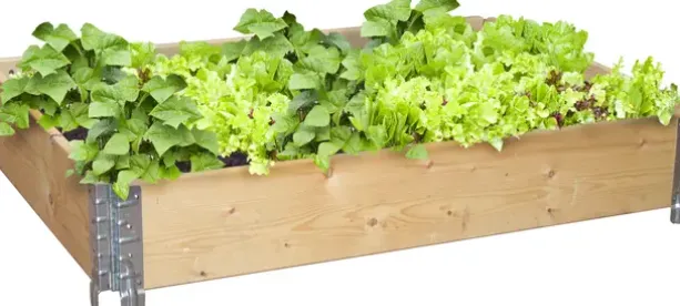 Plantekasse liten